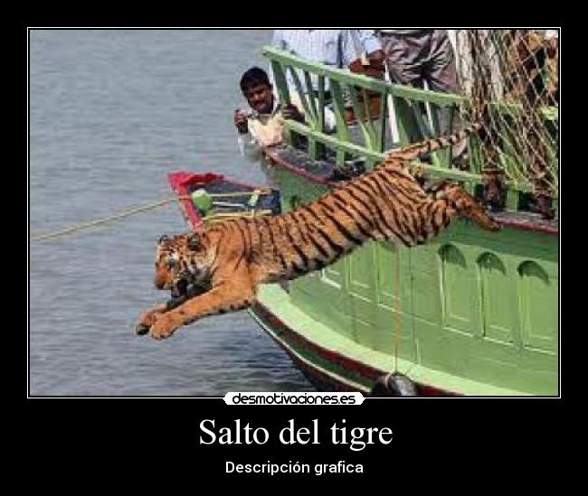 Salto del tigre - Descripción grafica
