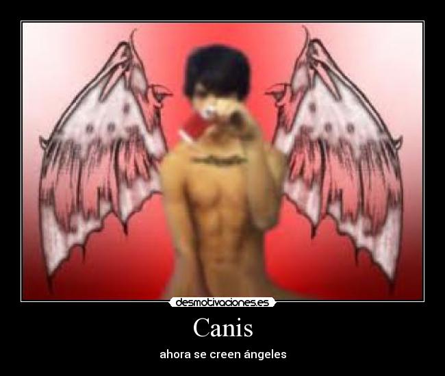 Canis -