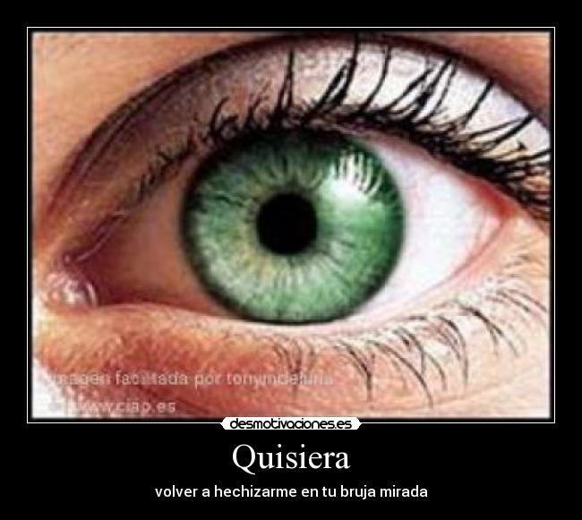 Quisiera - volver a hechizarme en tu bruja mirada