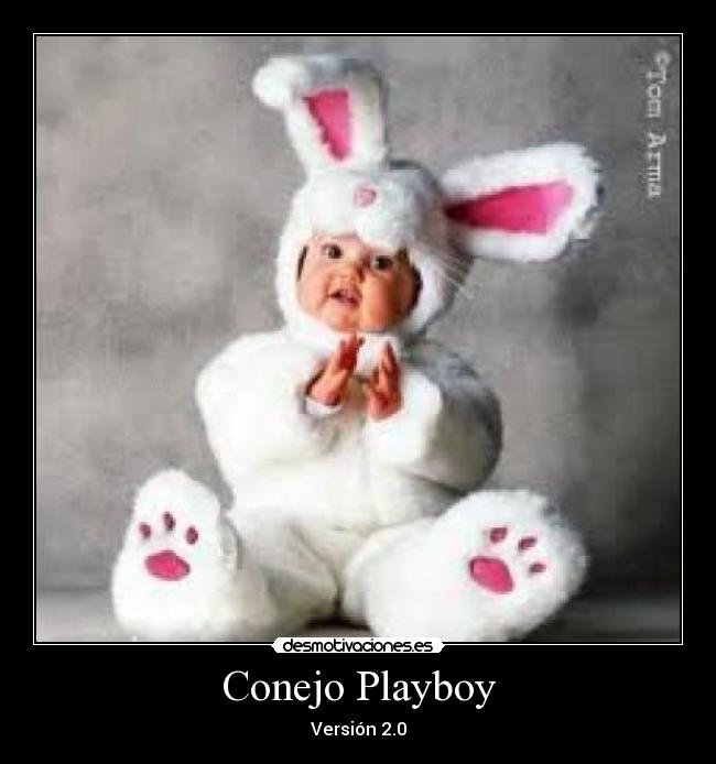 Conejo Playboy -