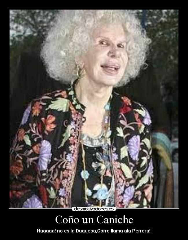 carteles desmotivaciones