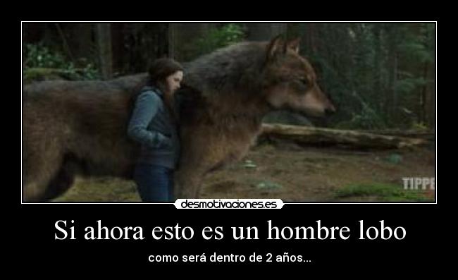 Si ahora esto es un hombre lobo - como será dentro de 2 años...