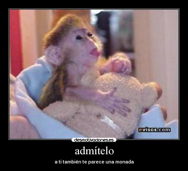 admítelo - a ti también te parece una monada