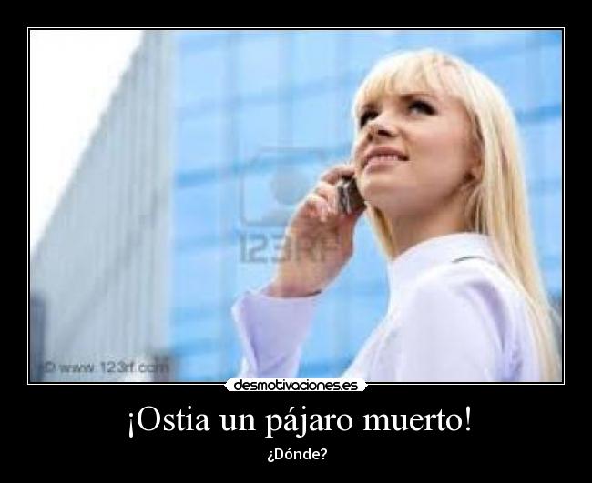¡Ostia un pájaro muerto! - ¿Dónde?