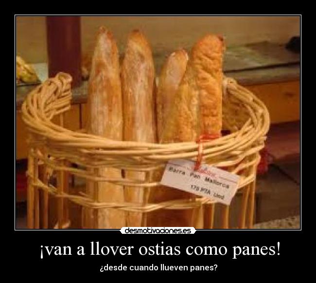 ¡van a llover ostias como panes! - ¿desde cuando llueven panes?