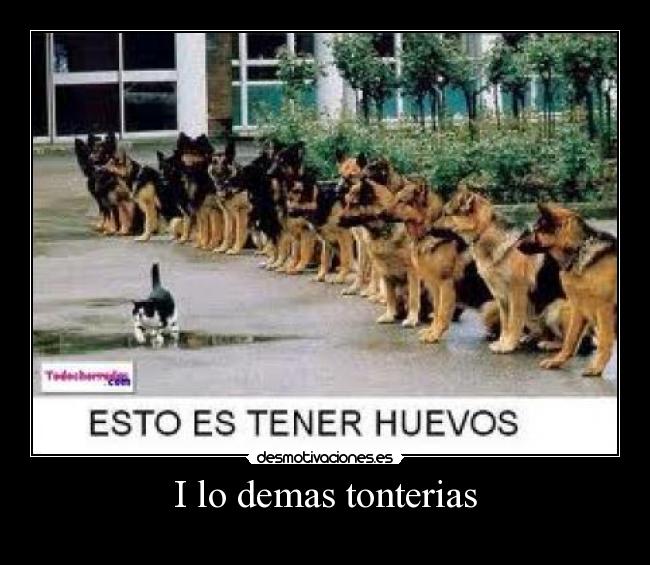 I lo demas tonterias -