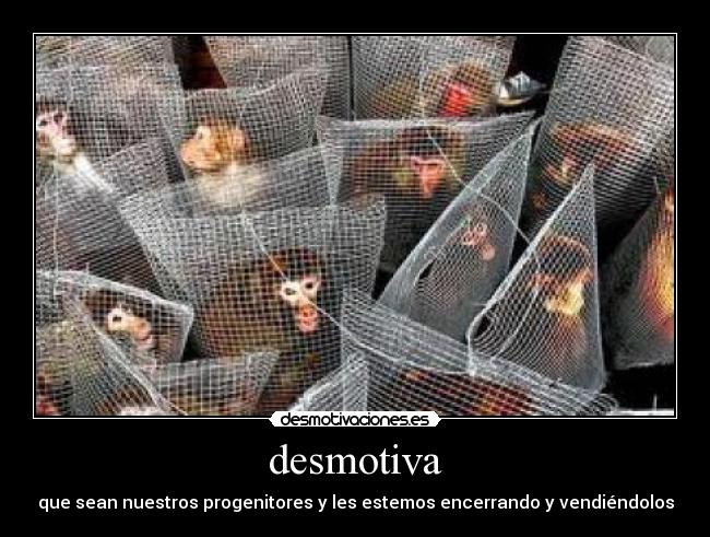 desmotiva -