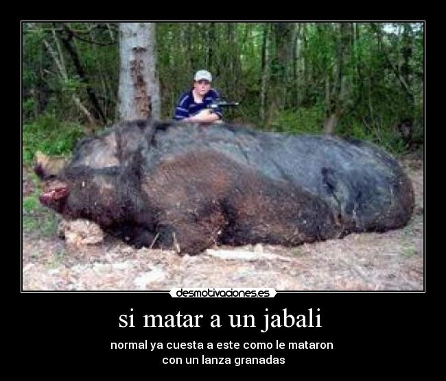 si matar a un jabali  - 