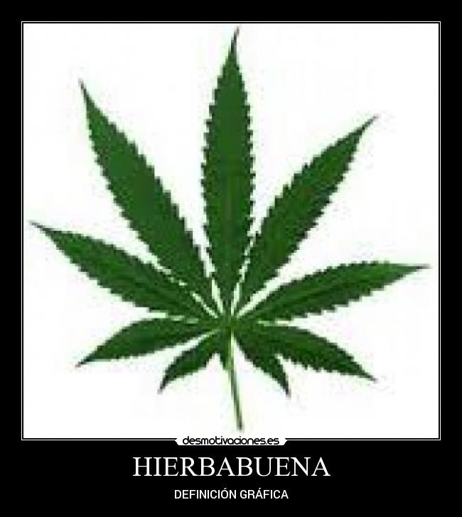 HIERBABUENA -