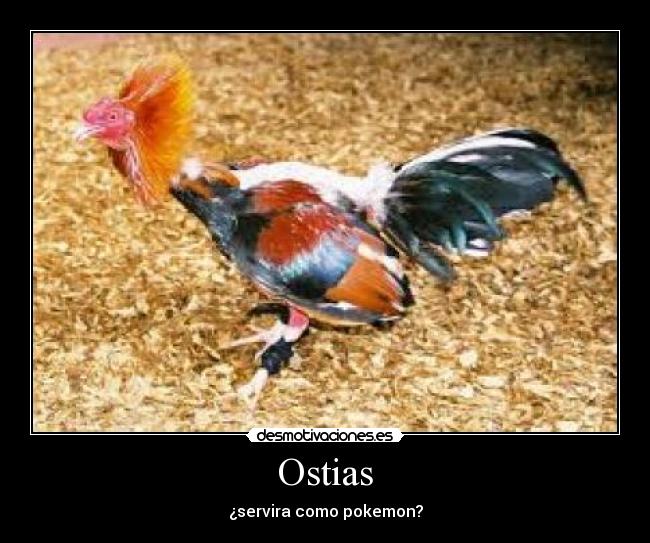 carteles ostias desmotivaciones