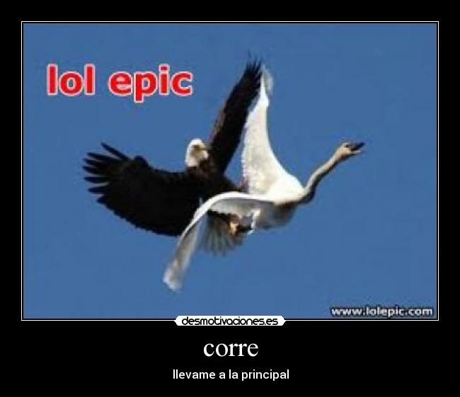 corre - 