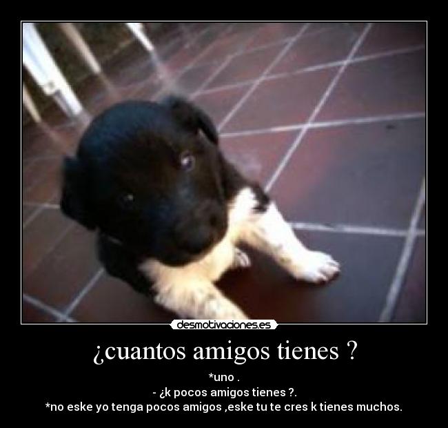 ¿cuantos amigos tienes ? - *uno .
- ¿k pocos amigos tienes ?.
*no eske yo tenga pocos amigos ,eske tu te cres k tienes muchos.