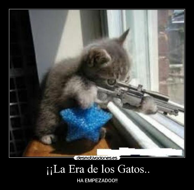 ¡¡La Era de los Gatos.. - 