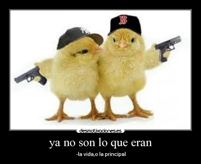 ya no son lo que eran -