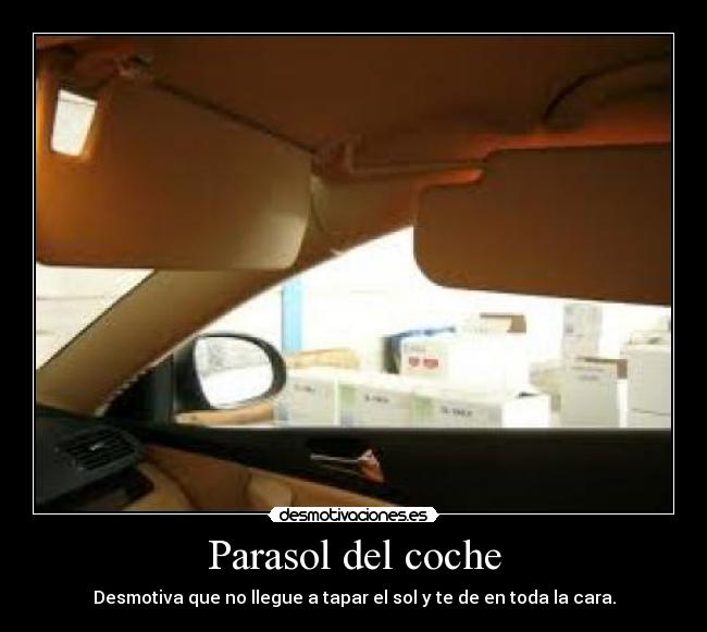 Parasol del coche - 