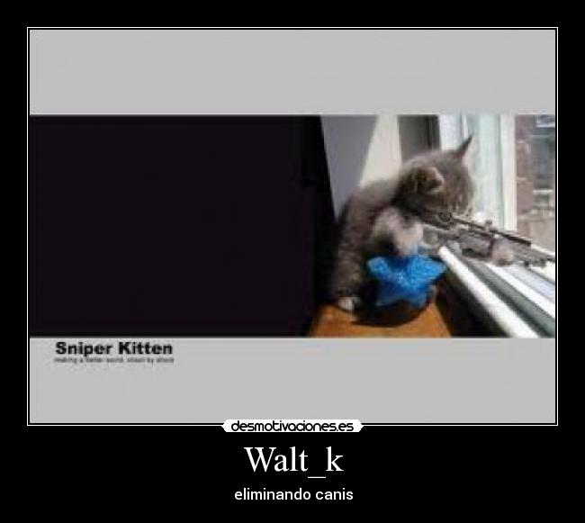 Walt_k -