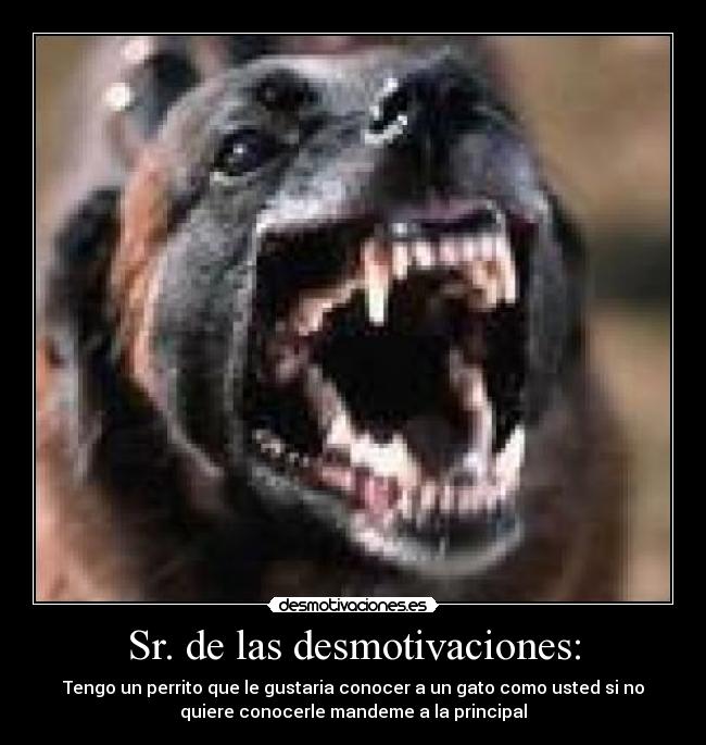 Sr. de las desmotivaciones: - 