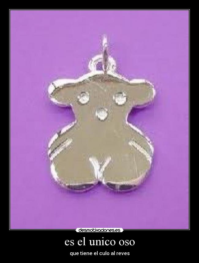 es el unico oso -