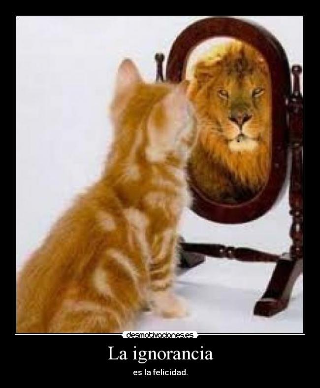 La ignorancia - es la felicidad.