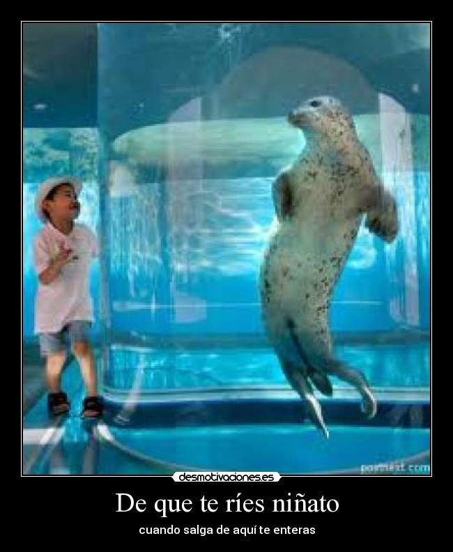 De que te ríes niñato - cuando salga de aquí te enteras