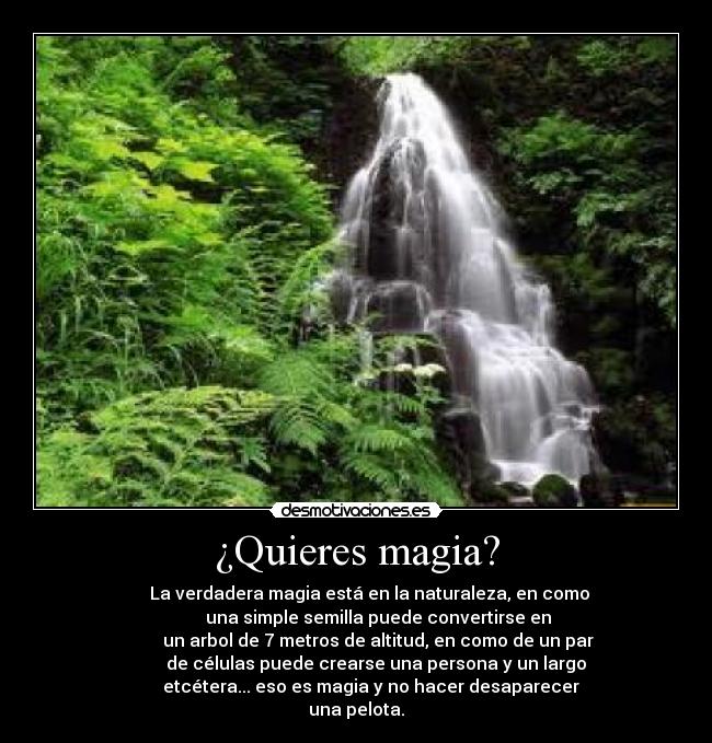 ¿Quieres magia? - 