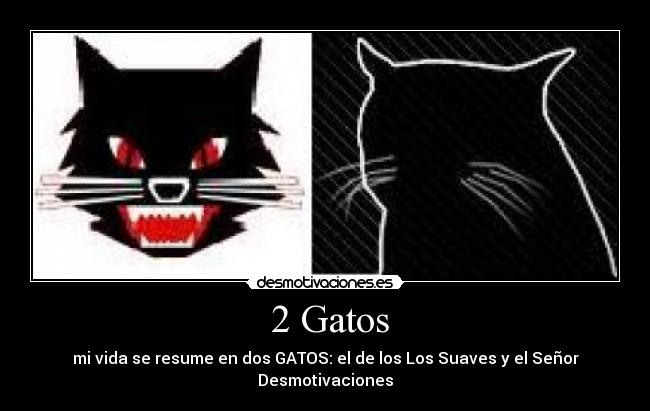 2 Gatos - mi vida se resume en dos GATOS: el de los Los Suaves y el Señor Desmotivaciones