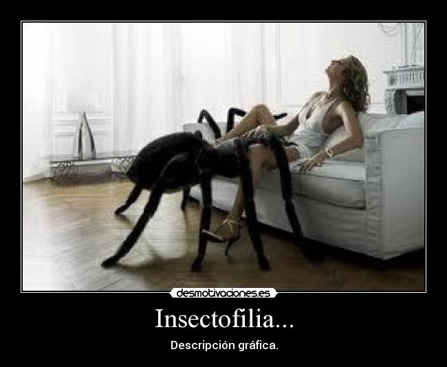 Insectofilia... - 