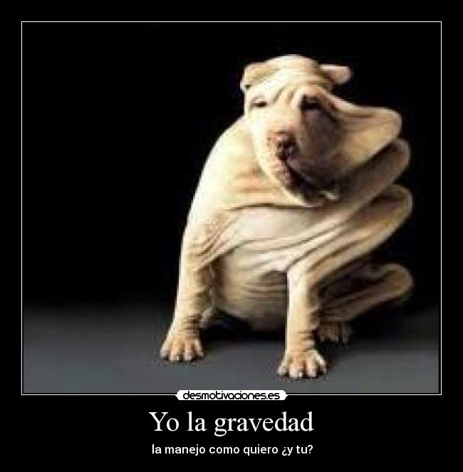 Yo la gravedad - 