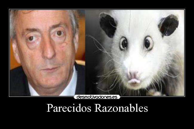 Parecidos Razonables -