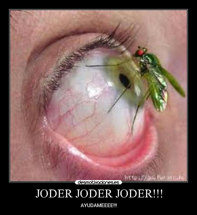 carteles mosquito desmotivaciones