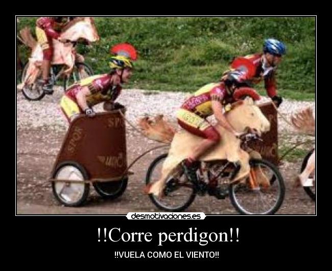 !!Corre perdigon!! -