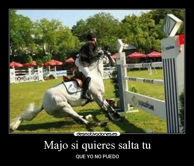 carteles caballo desmotivaciones