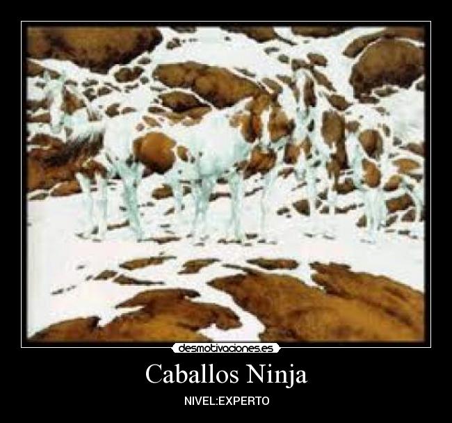 Caballos Ninja - 