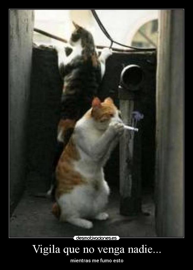 Vigila que no venga nadie... - mientras me fumo esto