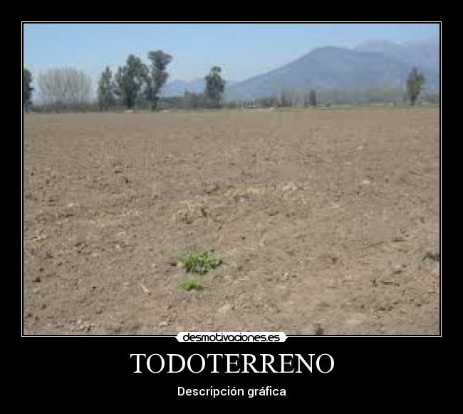 TODOTERRENO -