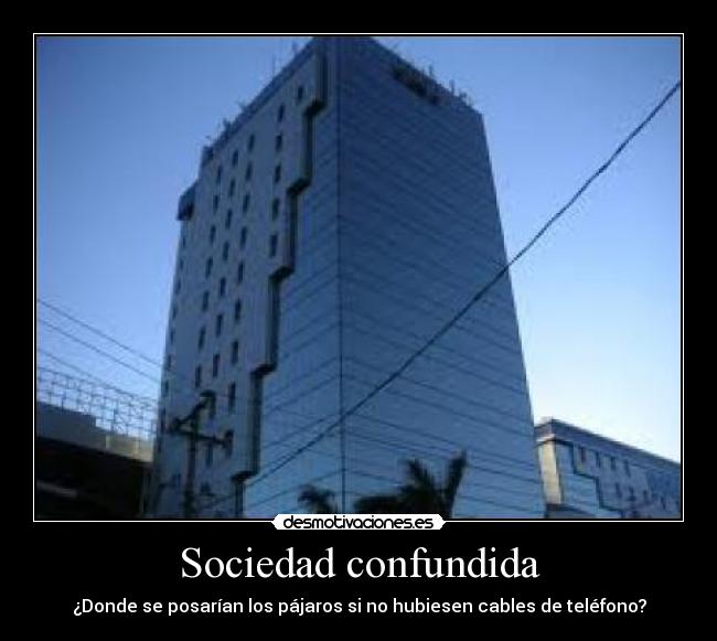 Sociedad confundida - ¿Donde se posarían los pájaros si no hubiesen cables de teléfono?