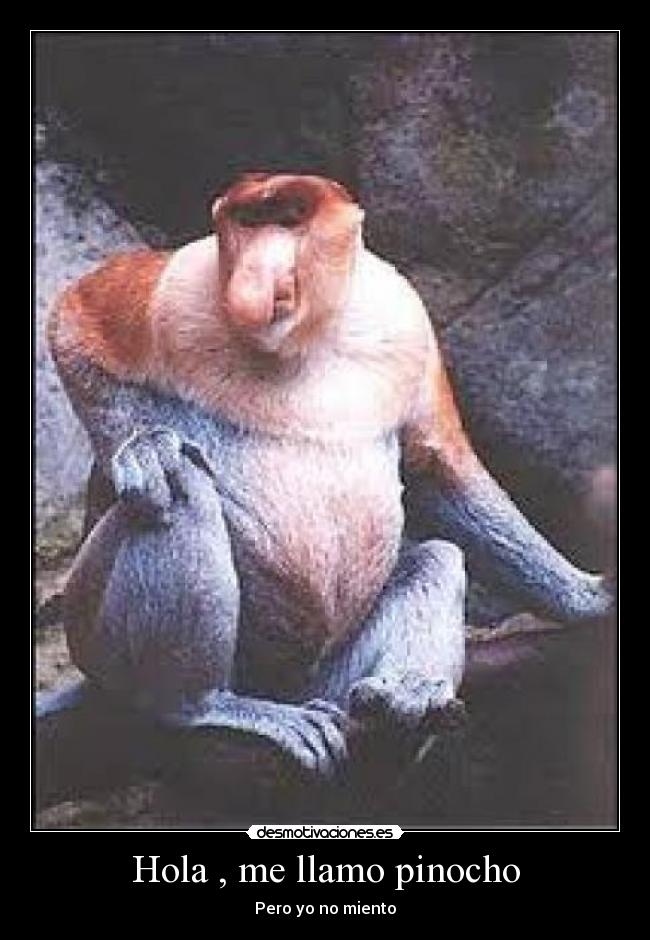 Hola , me llamo pinocho - 