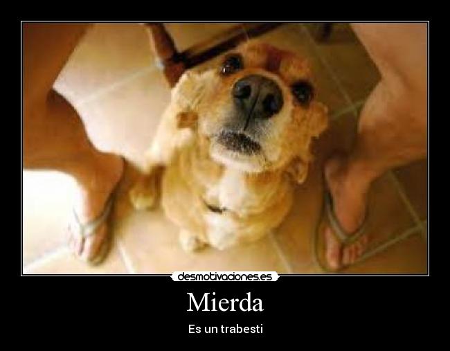 Mierda - 