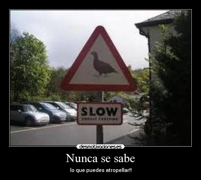 Nunca se sabe - 