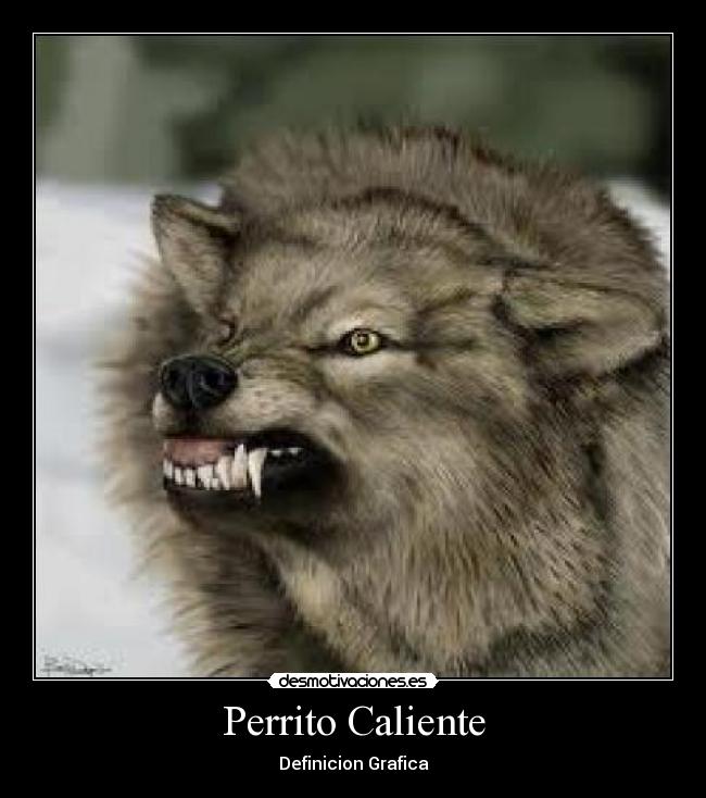 Perrito Caliente -