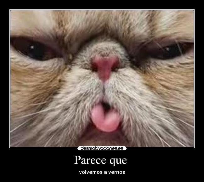 Parece que - volvemos a vernos