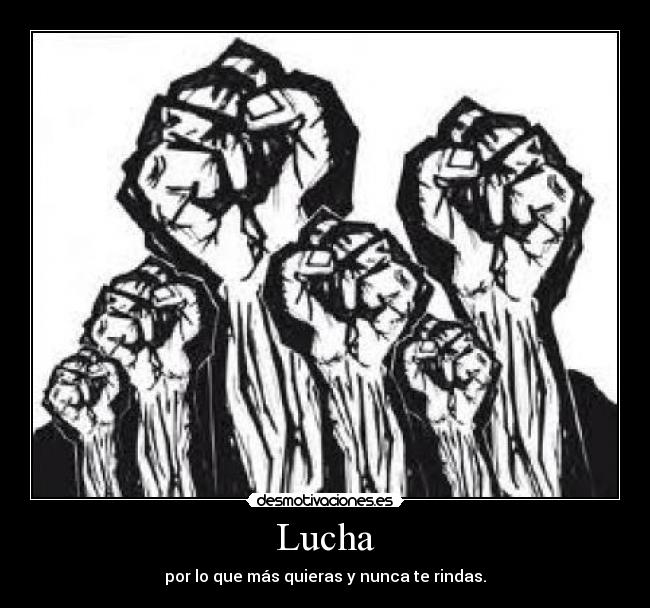 Lucha - 