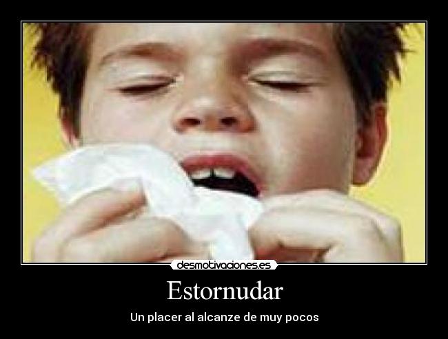 Estornudar - Un placer al alcanze de muy pocos