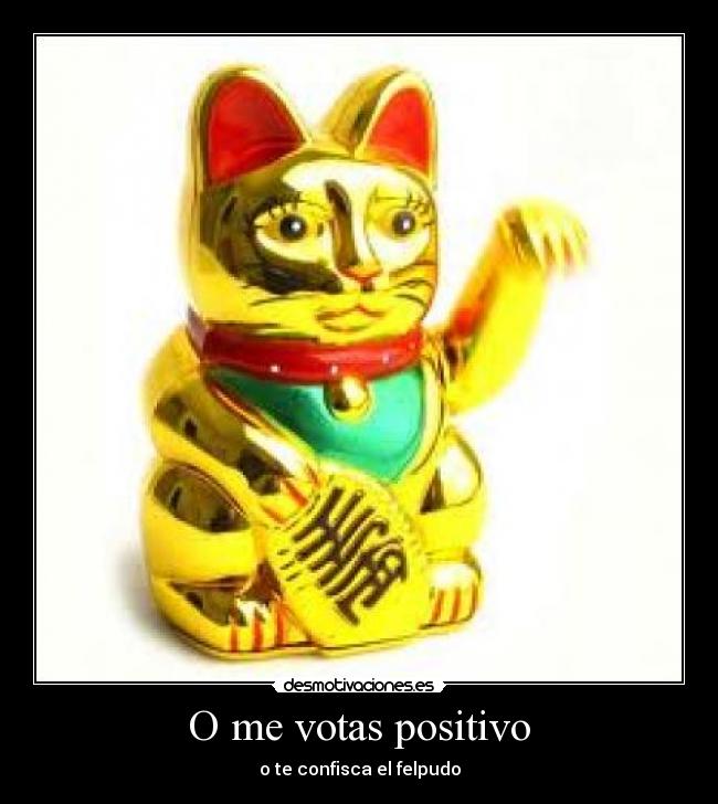 O me votas positivo - o te confisca el felpudo