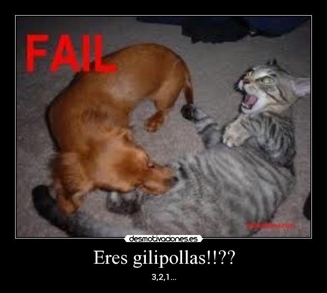 Eres gilipollas!!?? - 3,2,1...