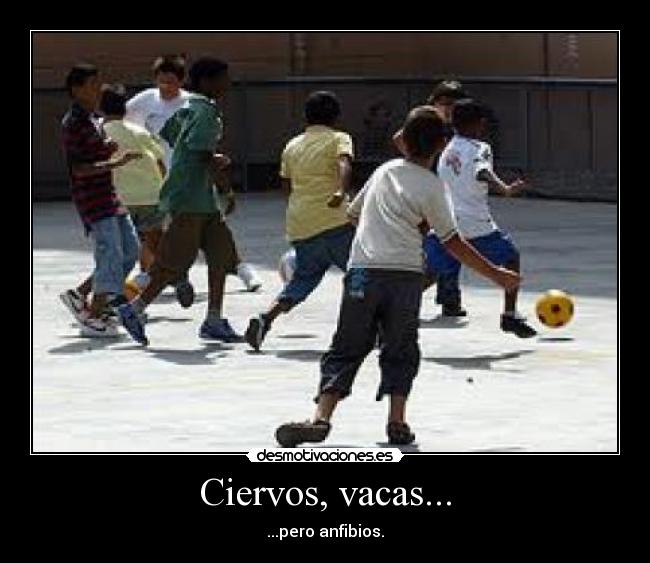 Ciervos, vacas... - ...pero anfibios.