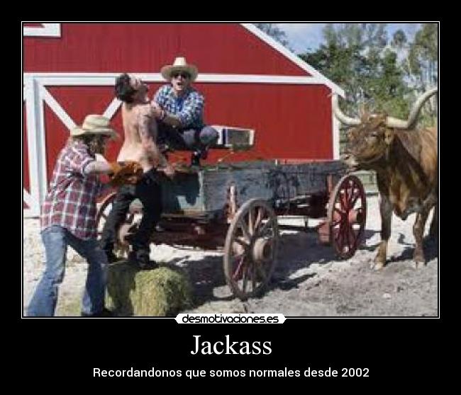 Jackass -