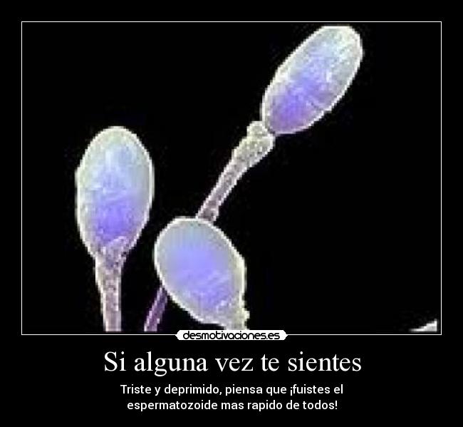 Si alguna vez te sientes - Triste y deprimido, piensa que ¡fuistes el
espermatozoide mas rapido de todos!