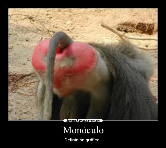 Monóculo - Definición gráfica  