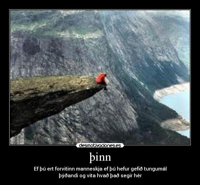 þinn - Ef þú ert forvitinn manneskja ef þú hefur gefið tungumál
þýðandi og vita hvað það segir hér